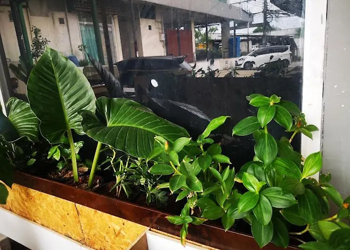 Cozy House Working Space Stay With Local In Bangkok Airport