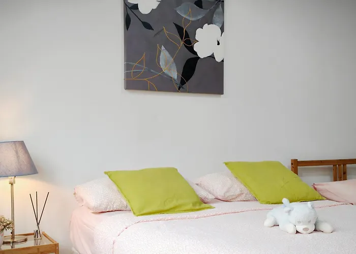 Maya Suite