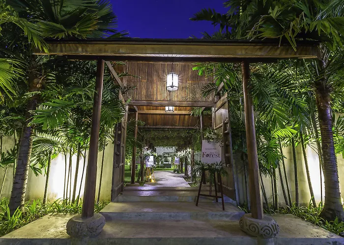 Into The Forest Resort