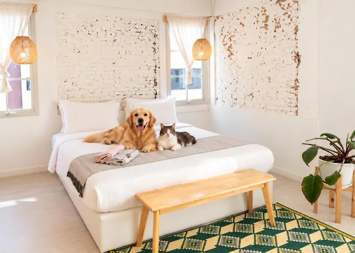 Pet Friendly Luna & Local Oldtown Bangkok